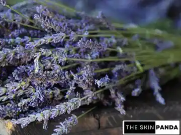 Benefits of Lavender Buds for Skin