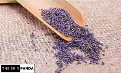 Dried Lavender Benefits for Skin