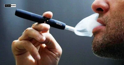 Exploring Scientific Studies of Nicotine