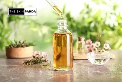 Tea Tree Oil - An Overview