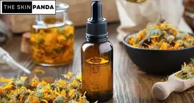 Benefits of Marigold Oil for Skin