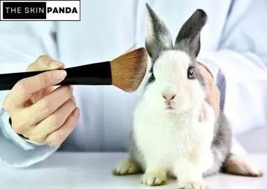 Challenges and Misconceptions in Cruelty-Free Skincare