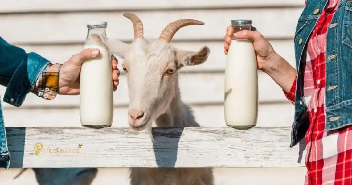 Goat Milk Benefits for Skin