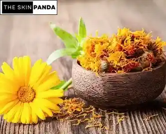 How to Use Marigold for Skin