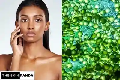 Marine Algae Extract for Skin
