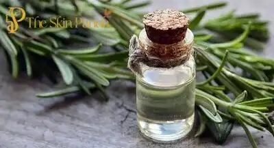 Rosemary Water Potential Side Effects and Precautions