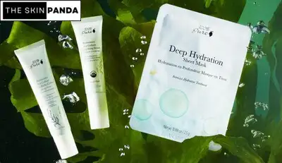 Types of Skincare Products with Algae Extract